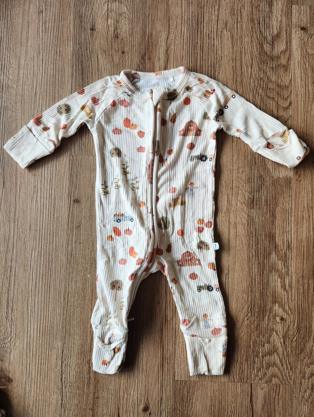 Brave Little Ones Pumpkin Patch Small Ribbed Zip Romper